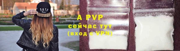 молекула духа Наволоки