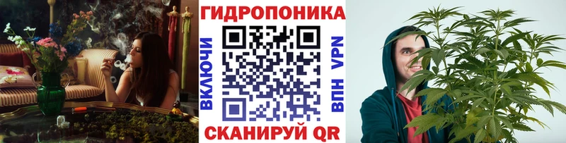 Конопля THC 21% Ивангород